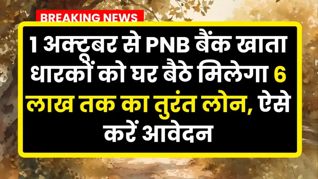 PNB Bank Instant Loan